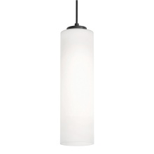 AFX Lighting, Inc. LEOP0412MBBK - Leo 12'' Med Base Pendant, 120V, BK