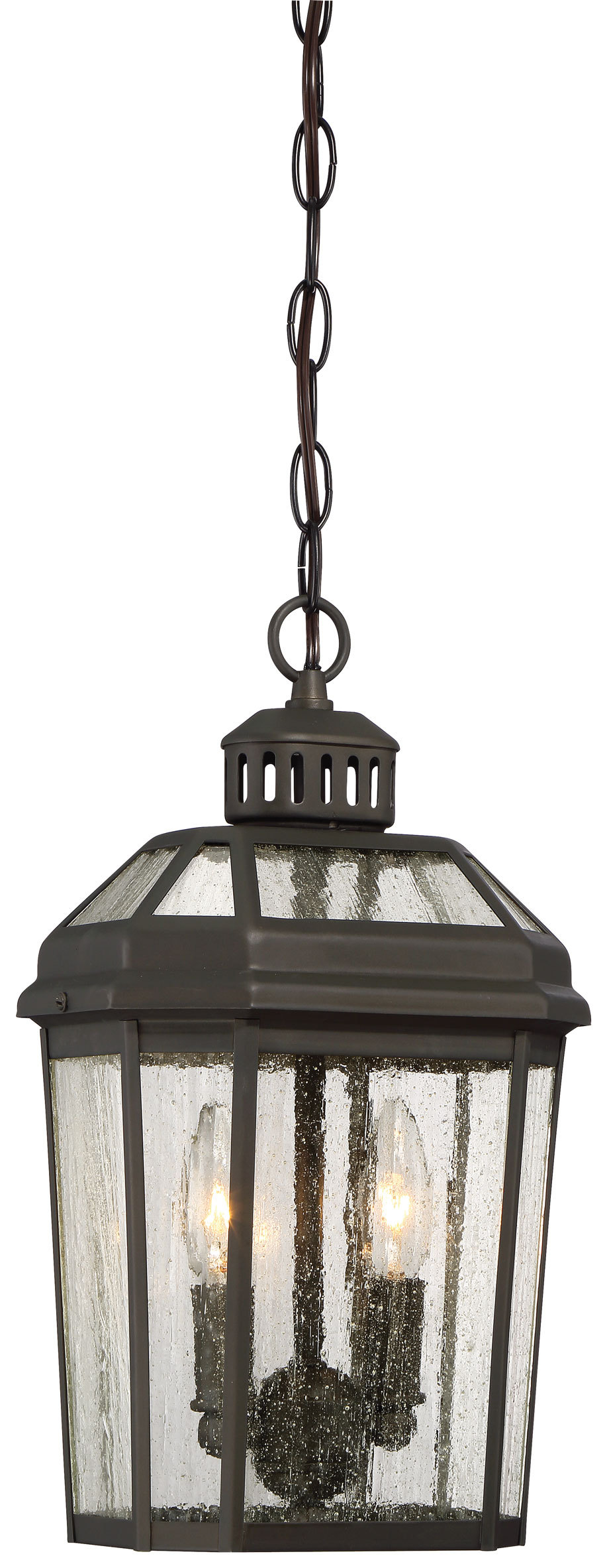 2 Light Outdoor Pendant