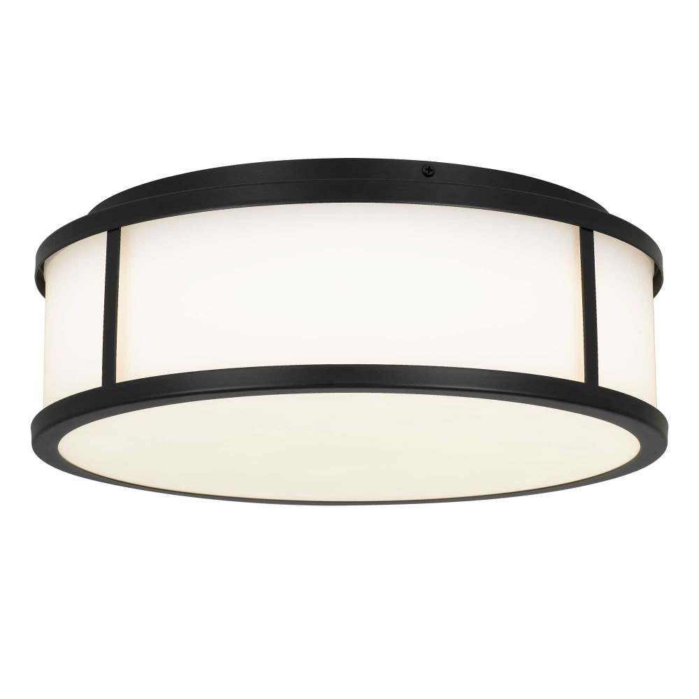 Panel Round LED Flush Mount D14