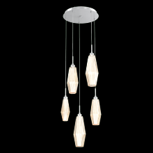 Hammerton CHB0049-05-CS-RA-C01-L1 - Aalto Round 5pc Multi-Pendant