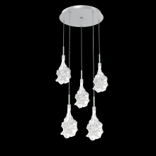 Hammerton CHB0059-05-CS-BC-C01-L3 - Blossom Round 5pc Multi-Pendant