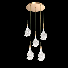 Hammerton CHB0059-05-NB-BC-C01-L3 - Blossom Round 5pc Multi-Pendant