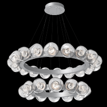 Hammerton CHB0095-2T-CS-FC-CA1-L1 - Luna Two-Tier Radial Ring