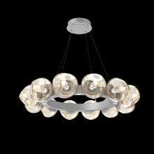 Hammerton CHB0095-36-CS-GA-CA1-L3 - Luna Radial Ring - 36-Inch