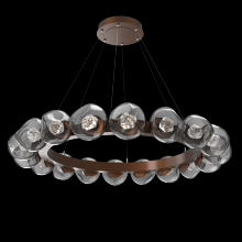 Hammerton CHB0095-48-BB-ZS-CA1-L3 - Luna Radial Ring - 48-Inch