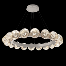 Hammerton CHB0095-48-BS-FA-CA1-L3 - Luna Radial Ring - 48-Inch