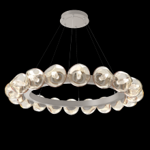 Hammerton CHB0095-48-BS-GA-CA1-L3 - Luna Radial Ring - 48-Inch