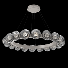 Hammerton CHB0095-48-BS-ZS-CA1-L3 - Luna Radial Ring - 48-Inch