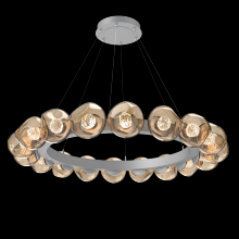 Hammerton CHB0095-48-CS-FB-CA1-L3 - Luna Radial Ring - 48-Inch