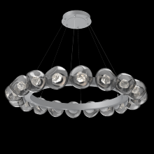 Hammerton CHB0095-48-CS-ZS-CA1-L3 - Luna Radial Ring - 48-Inch