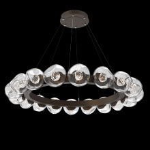 Hammerton CHB0095-48-FB-FC-CA1-L3 - Luna Radial Ring - 48-Inch