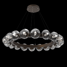 Hammerton CHB0095-48-FB-GS-CA1-L3 - Luna Radial Ring - 48-Inch
