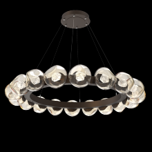Hammerton CHB0095-48-FB-ZA-CA1-L3 - Luna Radial Ring - 48-Inch