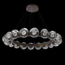 Hammerton CHB0095-48-FB-ZS-CA1-L3 - Luna Radial Ring - 48-Inch