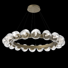 Hammerton CHB0095-48-GB-GC-CA1-L3 - Luna Radial Ring - 48-Inch