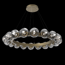 Hammerton CHB0095-48-GB-GS-CA1-L3 - Luna Radial Ring - 48-Inch