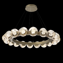 Hammerton CHB0095-48-GB-ZA-CA1-L3 - Luna Radial Ring - 48-Inch