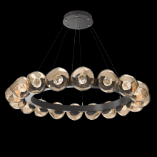 Hammerton CHB0095-48-GP-FB-CA1-L3 - Luna Radial Ring - 48-Inch