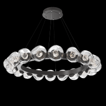 Hammerton CHB0095-48-GP-FC-CA1-L3 - Luna Radial Ring - 48-Inch