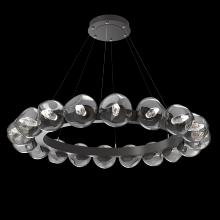 Hammerton CHB0095-48-GP-GS-CA1-L3 - Luna Radial Ring - 48-Inch