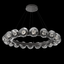 Hammerton CHB0095-48-GP-ZS-CA1-L3 - Luna Radial Ring - 48-Inch