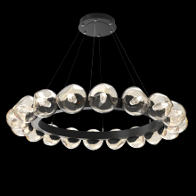 Hammerton CHB0095-48-MB-GA-CA1-L3 - Luna Radial Ring - 48-Inch