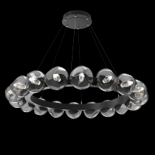 Hammerton CHB0095-48-MB-GS-CA1-L3 - Luna Radial Ring - 48-Inch