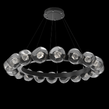 Hammerton CHB0095-48-MB-ZS-CA1-L3 - Luna Radial Ring - 48-Inch