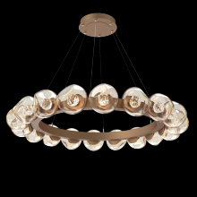 Hammerton CHB0095-48-NB-FA-CA1-L3 - Luna Radial Ring - 48-Inch