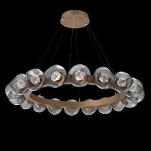 Hammerton CHB0095-48-NB-ZS-CA1-L3 - Luna Radial Ring - 48-Inch