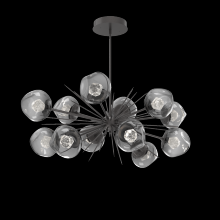 Hammerton PLB0095-0D-GP-ZS-001-L3 - Luna Oval Starburst
