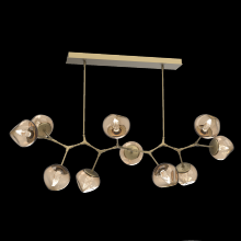 Hammerton PLB0095-BC-GB-GB-001-L3 - Luna Modern Branch - 10pc