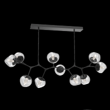 Hammerton PLB0095-BC-MB-GC-001-L1 - Luna Modern Branch - 10pc