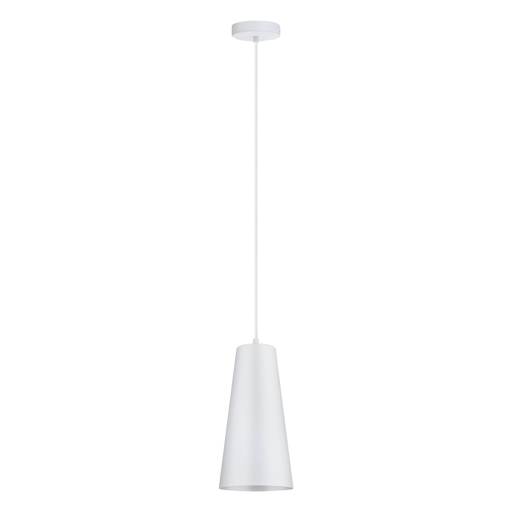 1L Pendant Light