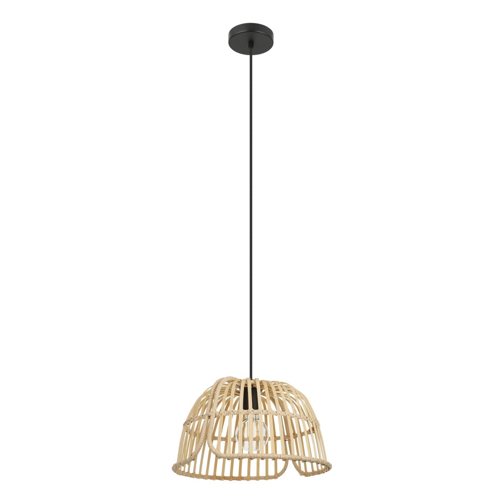 1L Pendant Light