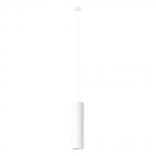 Eglo 204898A - 1L Pendant Light