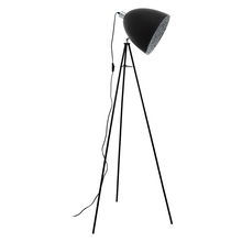 Eglo 39499A - 1L Floor Lamp