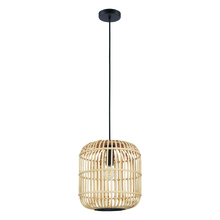 Eglo 43216A - 1L Pendant Light