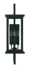 Craftmade ZA8020-TB - Large Wall Mount
