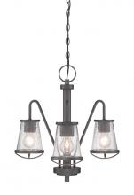 Designers Fountain 87083-WI - Darby 3 Light Chandelier
