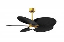 Matthews Fan Company AKTPLK-BRBR-BK - Alessandra Tropical - LK - Brushed Brass - Matte Black Blades - 10" Downrod