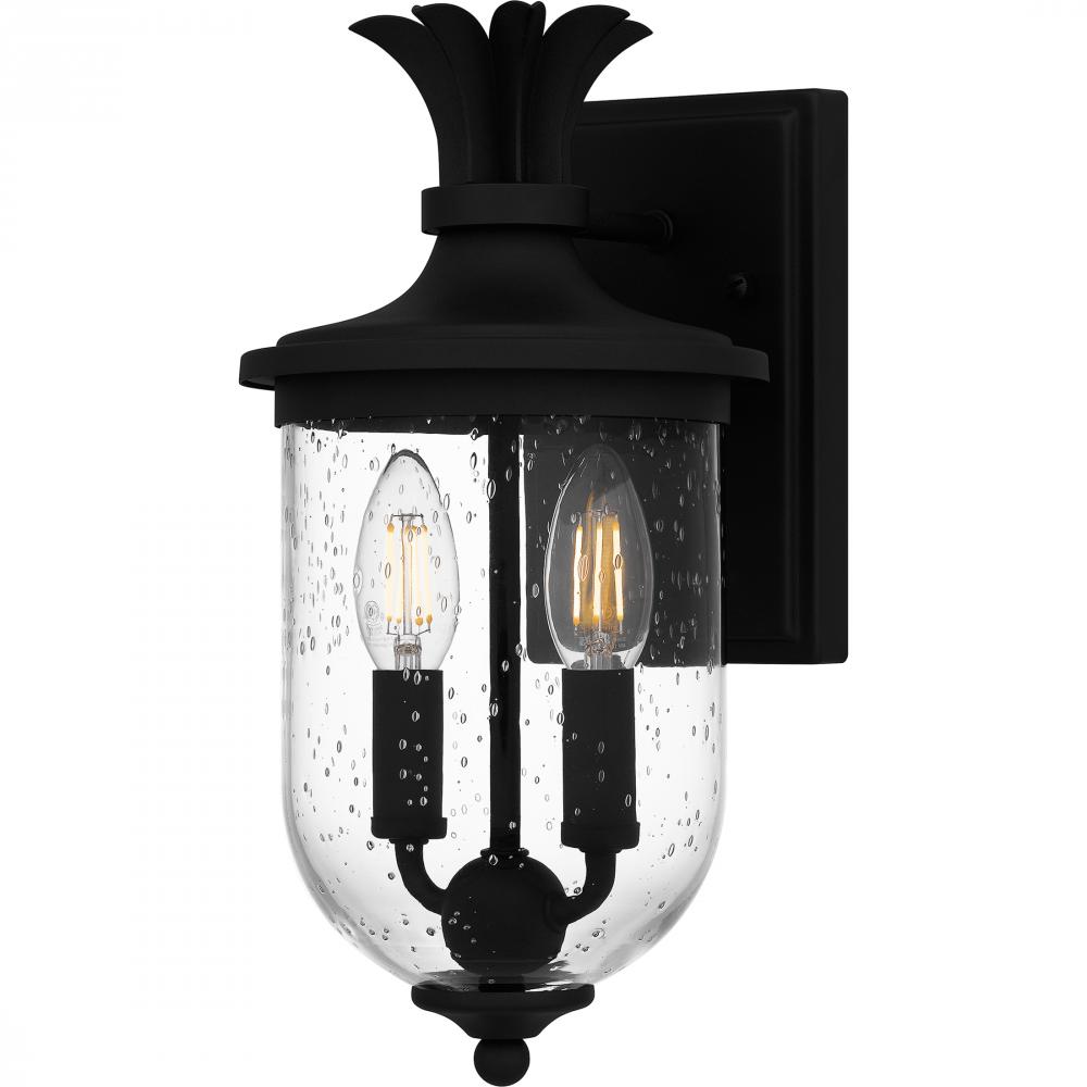 Havana 2-Light Earth Black Outdoor Wall Lantern