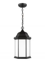 Generation Lighting 6238751-12 - Sevier One Light Outdoor Pendant