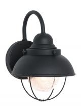 Generation Lighting 8870-12 - Sebring Small One Light Outdoor Wall Lantern