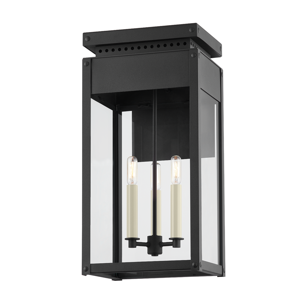 Braydan Exterior Wall Sconce
