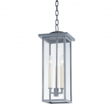 Troy F7520-WZN - Eden Exterior Pendant