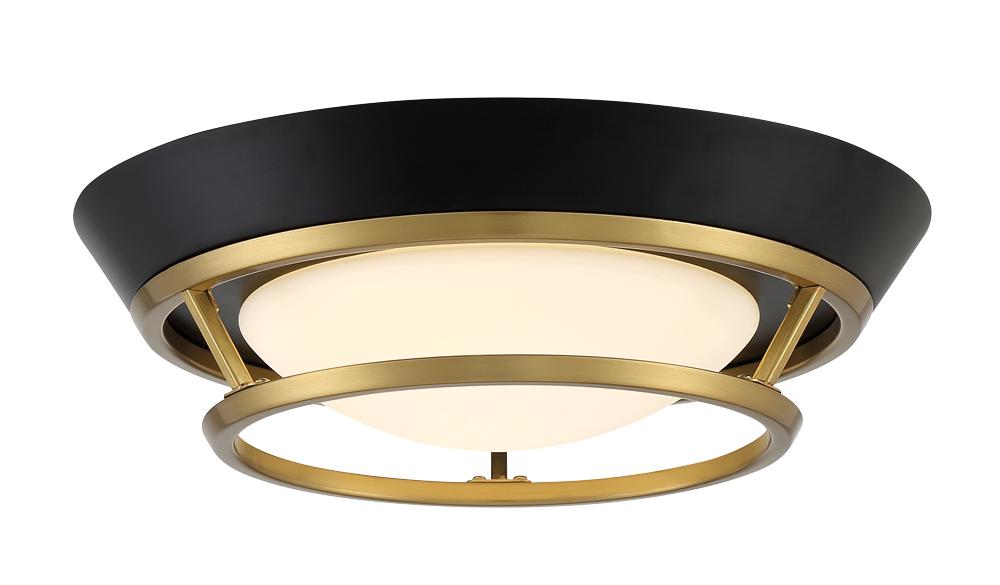 Beam Me Up! - 14" LED Flush Mount