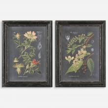Uttermost 56053 - Uttermost Midnight Botanicals Wall Art Set/2