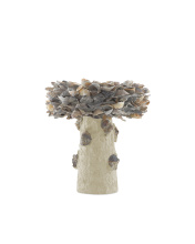 Currey 1200-0052 - Oyster Shell Small Bird Bath